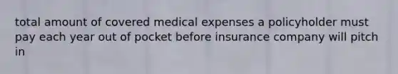 total amount of covered medical expenses a policyholder must pay each year out of pocket before insurance company will pitch in