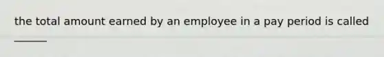 the total amount earned by an employee in a pay period is called ______