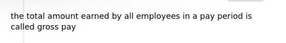 the total amount earned by all employees in a pay period is called gross pay