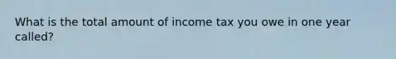 What is the total amount of income tax you owe in one year called?