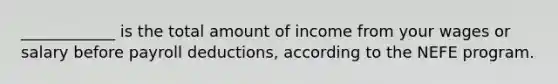 ____________ is the total amount of income from your wages or salary before payroll deductions, according to the NEFE program.