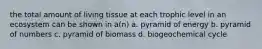 the total amount of living tissue at each trophic level in an ecosystem can be shown in a(n) a. pyramid of energy b. pyramid of numbers c. pyramid of biomass d. biogeochemical cycle