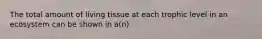 The total amount of living tissue at each trophic level in an ecosystem can be shown in a(n)