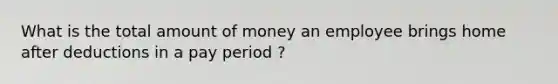 What is the total amount of money an employee brings home after deductions in a pay period ?