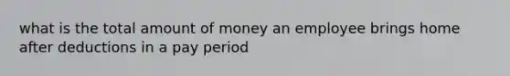 what is the total amount of money an employee brings home after deductions in a pay period