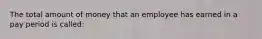 The total amount of money that an employee has earned in a pay period is called: