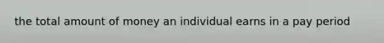 the total amount of money an individual earns in a pay period