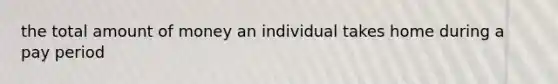 the total amount of money an individual takes home during a pay period