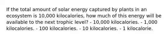 If the total amount of solar energy captured by plants in an ecosystem is 10,000 kilocalories, how much of this energy will be available to the next trophic level? - 10,000 kilocalories. - 1,000 kilocalories. - 100 kilocalories. - 10 kilocalories. - 1 kilocalorie.