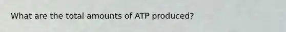 What are the total amounts of ATP produced?