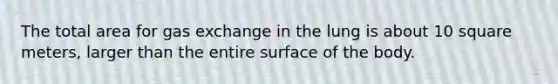 The total area for gas exchange in the lung is about 10 square meters, larger than the entire surface of the body.