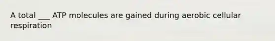 A total ___ ATP molecules are gained during aerobic cellular respiration