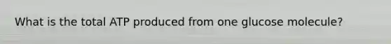 What is the total ATP produced from one glucose molecule?