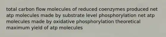 total carbon flow molecules of reduced coenzymes produced net atp molecules made by substrate level phosphorylation net atp molecules made by oxidative phosphorylation theoretical maximum yield of atp molecules