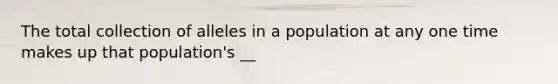 The total collection of alleles in a population at any one time makes up that population's __