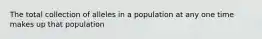 The total collection of alleles in a population at any one time makes up that population