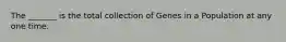 The _______ is the total collection of Genes in a Population at any one time.