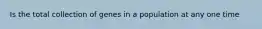 Is the total collection of genes in a population at any one time