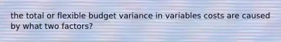 the total or flexible budget variance in variables costs are caused by what two factors?