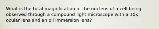 What is the total magnification of the nucleus of a cell being observed through a compound light microscope with a 10x ocular lens and an oil immersion lens?