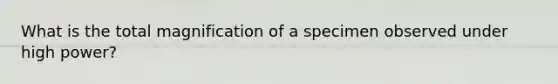 What is the total magnification of a specimen observed under high power?