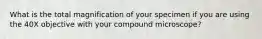 What is the total magnification of your specimen if you are using the 40X objective with your compound microscope?