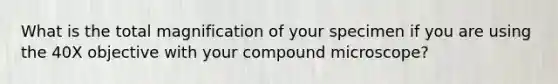 What is the total magnification of your specimen if you are using the 40X objective with your compound microscope?