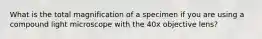 What is the total magnification of a specimen if you are using a compound light microscope with the 40x objective lens?