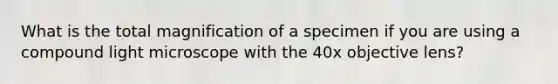 What is the total magnification of a specimen if you are using a compound light microscope with the 40x objective lens?