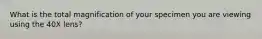 What is the total magnification of your specimen you are viewing using the 40X lens?