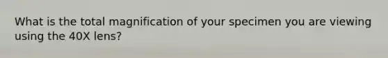 What is the total magnification of your specimen you are viewing using the 40X lens?
