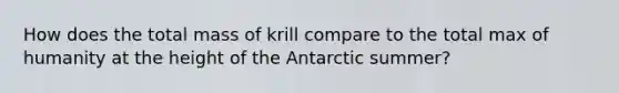 How does the total mass of krill compare to the total max of humanity at the height of the Antarctic summer?