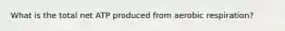 What is the total net ATP produced from aerobic respiration?