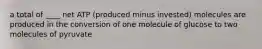 a total of ____ net ATP (produced minus invested) molecules are produced in the conversion of one molecule of glucose to two molecules of pyruvate