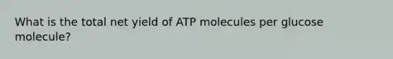 What is the total net yield of ATP molecules per glucose molecule?