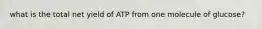 what is the total net yield of ATP from one molecule of glucose?