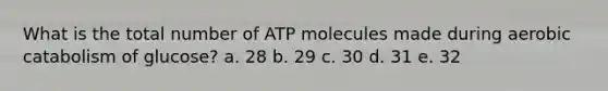 What is the total number of ATP molecules made during aerobic catabolism of glucose? a. 28 b. 29 c. 30 d. 31 e. 32