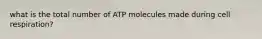 what is the total number of ATP molecules made during cell respiration?