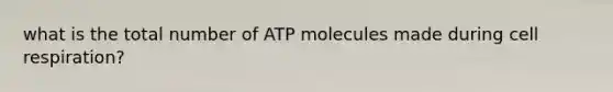 what is the total number of ATP molecules made during cell respiration?