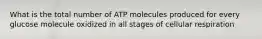 What is the total number of ATP molecules produced for every glucose molecule oxidized in all stages of cellular respiration