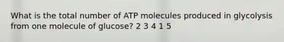 What is the total number of ATP molecules produced in glycolysis from one molecule of glucose? 2 3 4 1 5