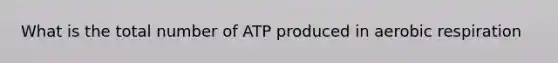 What is the total number of ATP produced in aerobic respiration