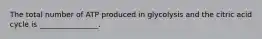 The total number of ATP produced in glycolysis and the citric acid cycle is ________________.