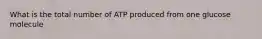 What is the total number of ATP produced from one glucose molecule