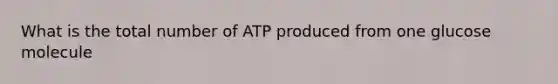 What is the total number of ATP produced from one glucose molecule