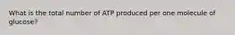 What is the total number of ATP produced per one molecule of glucose?