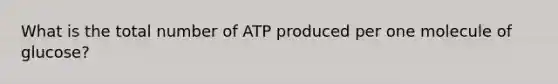 What is the total number of ATP produced per one molecule of glucose?