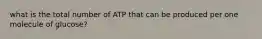 what is the total number of ATP that can be produced per one molecule of glucose?