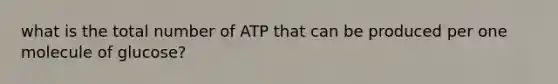 what is the total number of ATP that can be produced per one molecule of glucose?