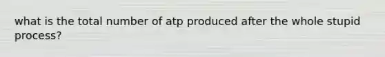 what is the total number of atp produced after the whole stupid process?